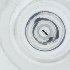  ( - JHBF_006_B11)  @11 [ ] by  Genome Research Ltd as Wellcome Sanger Institute Genome Research Limited operating as Wellcome Sanger Institute