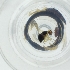  ( - JHBF_006_B7)  @11 [ ] by  Genome Research Ltd as Wellcome Sanger Institute Genome Research Limited operating as Wellcome Sanger Institute