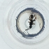  ( - JHGS_062_B12)  @11 [ ] by  Genome Research Ltd as Wellcome Sanger Institute Genome Research Limited operating as Wellcome Sanger Institute