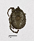  ( - CCDB-22802 D09)  @13 [ ] No Rights Reserved (2014) Cory Sheffield Royal Saskatchewan Museum