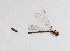  ( - CCDB-22802 F07)  @11 [ ] No Rights Reserved (2014) Cory Sheffield Royal Saskatchewan Museum