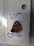  (Euphydryas editha taylori - CCDB-22063 B03)  @12 [ ] Copyright (2017) Jennifer Heron British Columbia Ministry of Environment