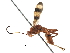  (crypMalaise01 Malaise9819 - BIOUG28762-H10)  @13 [ ] CreativeCommons - Attribution (2016) CBG Photography Group Centre for Biodiversity Genomics