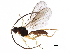  ( - BIOUG29034-C10)  @11 [ ] CreativeCommons - Attribution (2017) CBG Photography Group Centre for Biodiversity Genomics