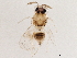  ( - BIOUG29040-A10)  @13 [ ] CreativeCommons - Attribution (2019) CBG Photography Group Centre for Biodiversity Genomics