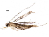  (Eucosmophora - BIOUG29110-D06)  @13 [ ] CreativeCommons - Attribution (2016) CBG Photography Group Centre for Biodiversity Genomics