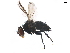  ( - BIOUG29197-D02)  @13 [ ] CreativeCommons - Attribution (2019) CBG Photography Group Centre for Biodiversity Genomics