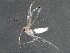  (malaiseGraci01 Malaise2151 - BIOUG29276-B11)  @13 [ ] CreativeCommons - Attribution (2016) CBG Photography Group Centre for Biodiversity Genomics
