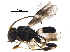  ( - BIOUG29282-H09)  @13 [ ] CreativeCommons - Attribution (2017) CBG Photography Group Centre for Biodiversity Genomics