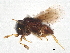  ( - BIOUG29415-H08)  @11 [ ] CreativeCommons - Attribution (2022) CBG Photography Group Centre for Biodiversity Genomics