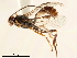  ( - BIOUG29620-B06)  @13 [ ] CreativeCommons - Attribution (2019) CBG Photography Group Centre for Biodiversity Genomics