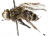  ( - BIOUG29571-H07)  @11 [ ] CreativeCommons - Attribution (2019) CBG Photography Group Centre for Biodiversity Genomics