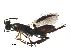  ( - BIOUG29671-H06)  @14 [ ] CreativeCommons - Attribution (2016) CBG Photography Group Centre for Biodiversity Genomics