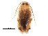  ( - BIOUG29656-B02)  @13 [ ] CreativeCommons - Attribution (2016) CBG Photography Group Centre for Biodiversity Genomics