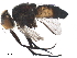 ( - BIOUG29668-E11)  @11 [ ] CreativeCommons - Attribution (2019) CBG Photography Group Centre for Biodiversity Genomics