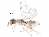  ( - BIOUG29832-H07)  @14 [ ] CreativeCommons - Attribution (2016) CBG Photography Group Centre for Biodiversity Genomics