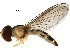  ( - BIOUG28394-C08)  @11 [ ] CreativeCommons - Attribution (2017) CBG Photography Group Centre for Biodiversity Genomics