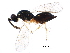  ( - BIOUG28678-H07)  @14 [ ] CreativeCommons - Attribution (2016) CBG Photography Group Centre for Biodiversity Genomics