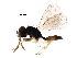  ( - BIOUG28711-C08)  @14 [ ] CreativeCommons - Attribution (2016) CBG Photography Group Centre for Biodiversity Genomics