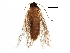  ( - BIOUG29098-B04)  @13 [ ] CreativeCommons - Attribution (2016) CBG Photography Group Centre for Biodiversity Genomics