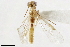  ( - BIOUG30934-A02)  @12 [ ] CreativeCommons - Attribution (2019) CBG Photography Group Centre for Biodiversity Genomics