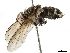  ( - BIOUG30469-D08)  @14 [ ] CreativeCommons - Attribution (2019) CBG Photography Group Centre for Biodiversity Genomics
