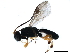  ( - BIOUG29391-H05)  @13 [ ] CreativeCommons - Attribution (2019) CBG Photography Group Centre for Biodiversity Genomics
