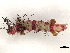  ( - BIOUG73615-D04)  @11 [ ] CreativeCommons - Attribution (2022) CBG Photography Group Centre for Biodiversity Genomics