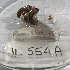  ( - JL554A)  @11 [ ] CCBY (2025) Jean-Lou Justine Museum national d'Histoire naturelle