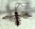  ( - 1.2-LM-41.1)  @11 [ ] CreativeCommons - Attribution Non-Commercial Share-Alike (2016) E. Villa-Galaviz University of Bristol