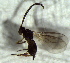  ( - 10.2-LM-42)  @11 [ ] CreativeCommons - Attribution Non-Commercial Share-Alike (2016) E. Villa-Galaviz University of Bristol
