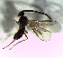  ( - 12.2-LM-44)  @11 [ ] CreativeCommons - Attribution Non-Commercial Share-Alike (2016) E. Villa-Galaviz University of Bristol