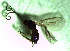  ( - 2.1-LM-15.1)  @11 [ ] CreativeCommons - Attribution Non-Commercial Share-Alike (2016) E. Villa-Galaviz University of Bristol