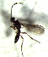  ( - 3.2-LM-37.1)  @11 [ ] CreativeCommons - Attribution Non-Commercial Share-Alike (2016) E. Villa-Galaviz University of Bristol