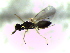  ( - 4.2-LM-47)  @11 [ ] CreativeCommons - Attribution Non-Commercial Share-Alike (2016) E. Villa-Galaviz University of Bristol