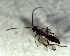  ( - 5.1-LM-11)  @11 [ ] CreativeCommons - Attribution Non-Commercial Share-Alike (2016) E. Villa-Galaviz University of Bristol