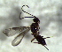  ( - 5.2-LM-105.1)  @11 [ ] CreativeCommons - Attribution Non-Commercial Share-Alike (2016) E. Villa-Galaviz University of Bristol