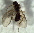  ( - 5.2-LM-31)  @11 [ ] CreativeCommons - Attribution Non-Commercial Share-Alike (2016) E. Villa-Galaviz University of Bristol