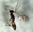  ( - 5.2-LM-96)  @11 [ ] CreativeCommons - Attribution Non-Commercial Share-Alike (2016) E. Villa-Galaviz University of Bristol