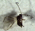  ( - 68.1-LM-14)  @11 [ ] CreativeCommons - Attribution Non-Commercial Share-Alike (2016) E. Villa-Galaviz University of Bristol