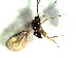  ( - 79.2-LM-40.1)  @11 [ ] CreativeCommons - Attribution Non-Commercial Share-Alike (2016) E. Villa-Galaviz University of Bristol