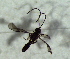  ( - 79.2-LM-78)  @11 [ ] CreativeCommons - Attribution Non-Commercial Share-Alike (2016) E. Villa-Galaviz University of Bristol