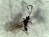  ( - 9.2-LM-48)  @11 [ ] CreativeCommons - Attribution Non-Commercial Share-Alike (2016) E. Villa-Galaviz University of Bristol