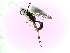  ( - Ash-C-25)  @11 [ ] CreativeCommons - Attribution Non-Commercial Share-Alike (2016) E. Villa-Galaviz University of Bristol