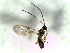  ( - Dow-L-25)  @11 [ ] CreativeCommons - Attribution Non-Commercial Share-Alike (2016) E. Villa-Galaviz University of Bristol