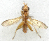  ( - BIOUG06723-H01)  @12 [ ] CreativeCommons - Attribution (2012) CBG Photography Group Centre for Biodiversity Genomics