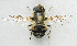  ( - BIOUG06723-H05)  @13 [ ] CreativeCommons - Attribution (2012) CBG Photography Group Centre for Biodiversity Genomics