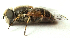  ( - BIOUG06723-H05)  @13 [ ] CreativeCommons - Attribution (2012) CBG Photography Group Centre for Biodiversity Genomics