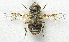 ( - BIOUG06723-H05)  @13 [ ] CreativeCommons - Attribution (2012) CBG Photography Group Centre for Biodiversity Genomics