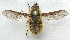  ( - BIOUG06723-H05)  @13 [ ] CreativeCommons - Attribution (2012) CBG Photography Group Centre for Biodiversity Genomics